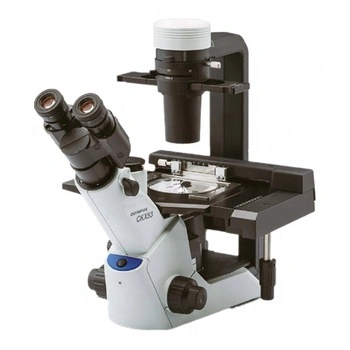 Ckx53 Olympus Digital Biological Microscope