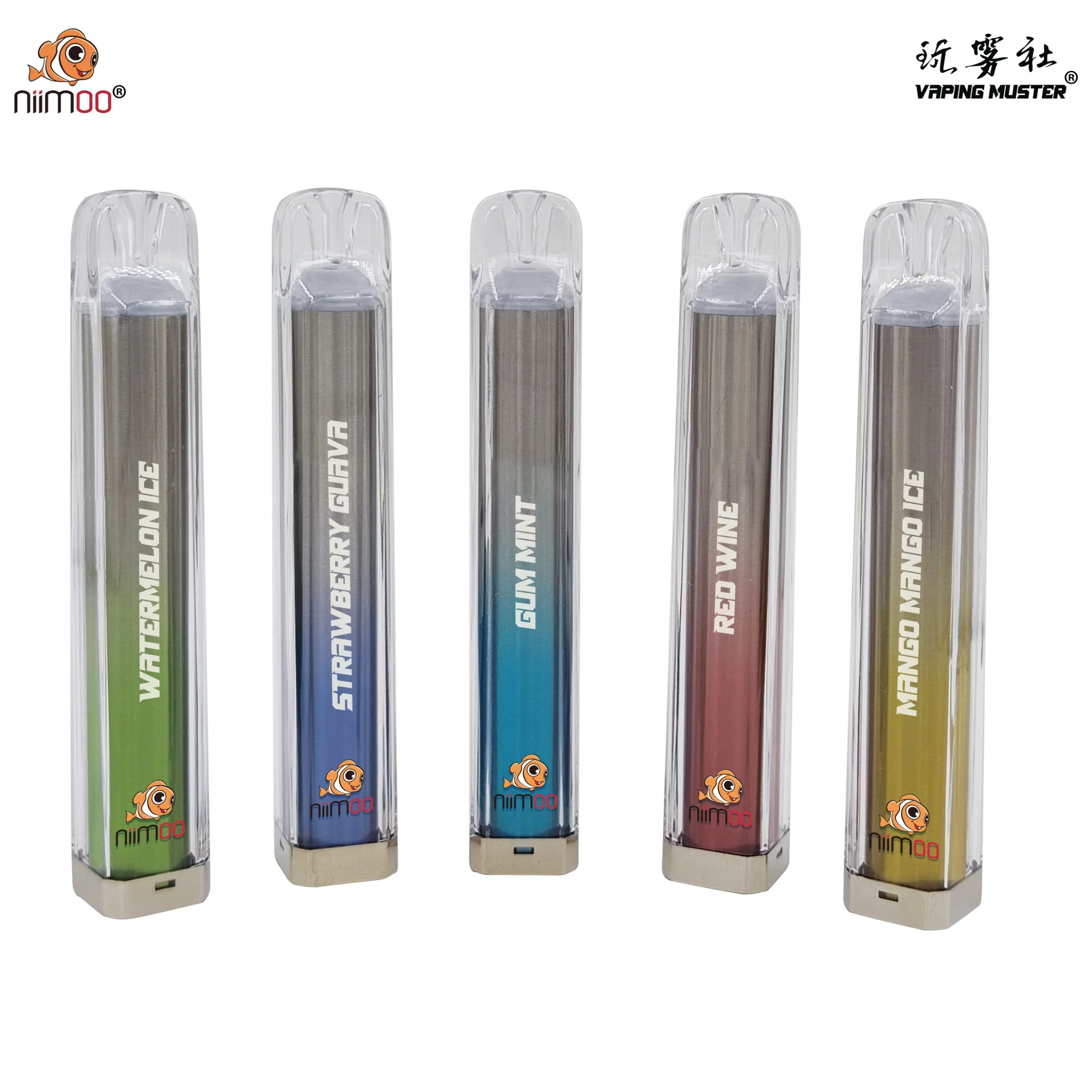 Niimoo Wholesale/Supplier Electronic Cigarette Vaporizer with 1000 Puffs Mesh Coil Crystal Disposable/Chargeable Vape