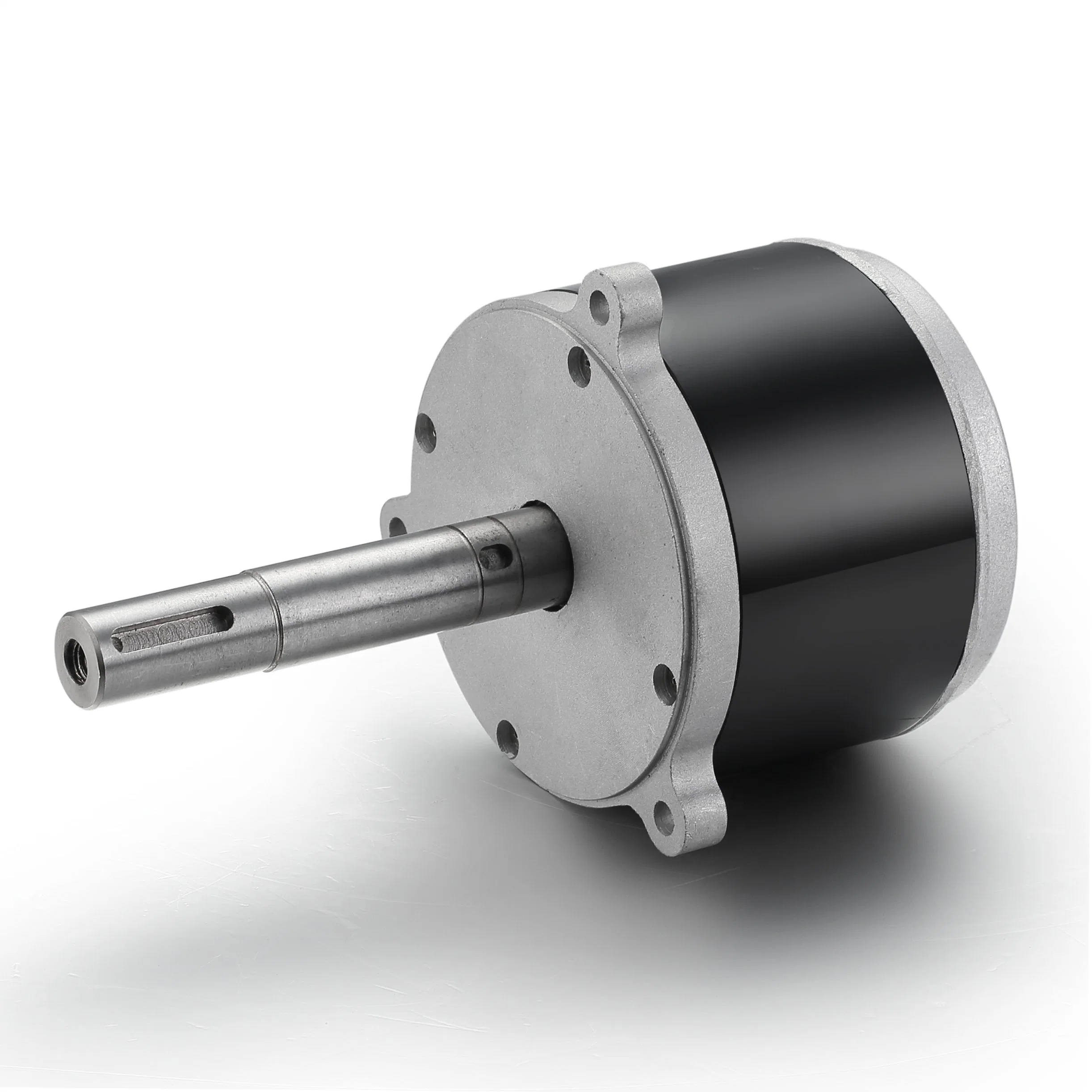 101mm Strong Power, High Torque, Large Equipment for a Brushed DC Motor