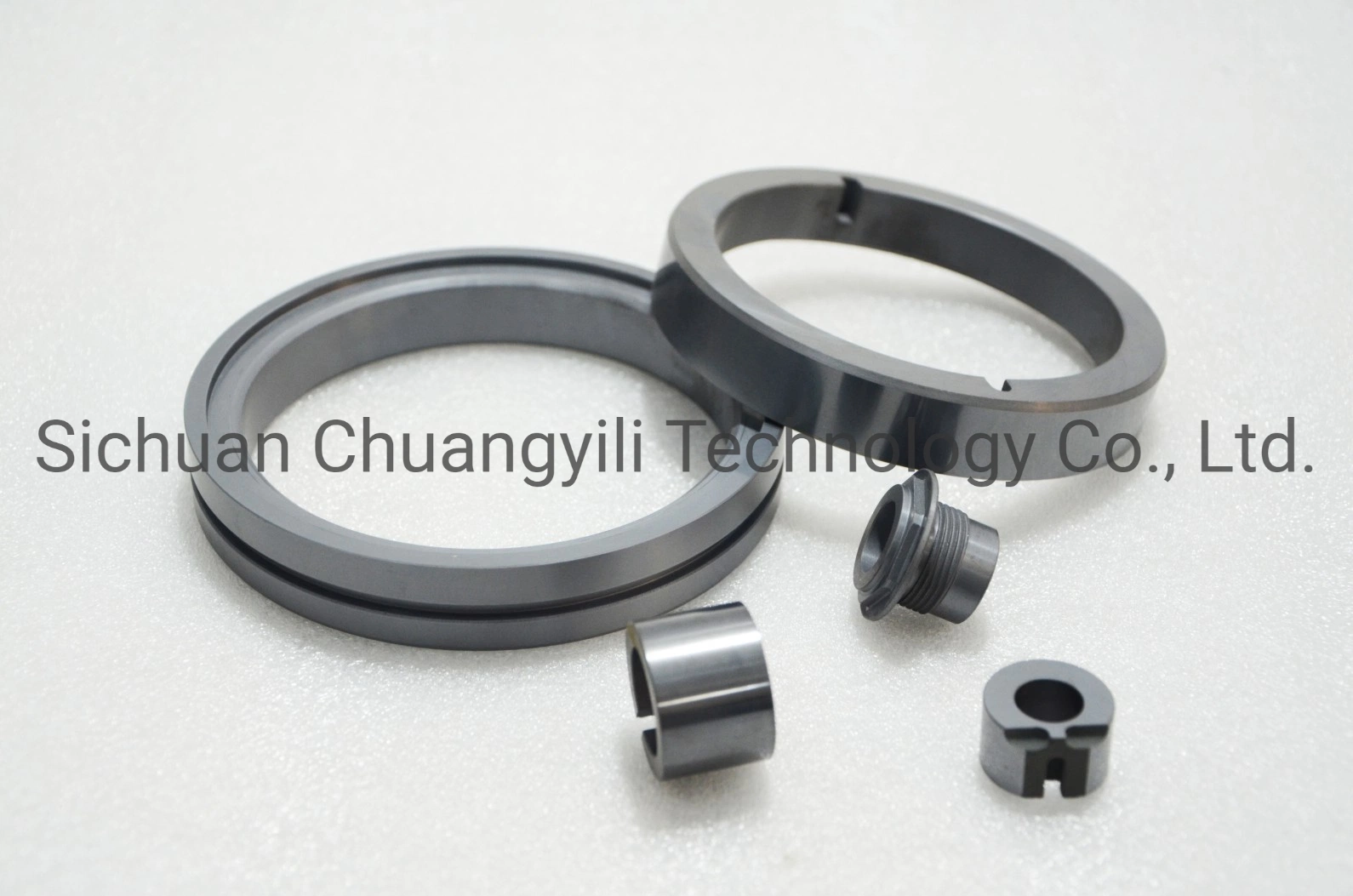 Mechanical O Ring Seal Ring Ssic Silicon Carbide Ceramic for Oil Pump