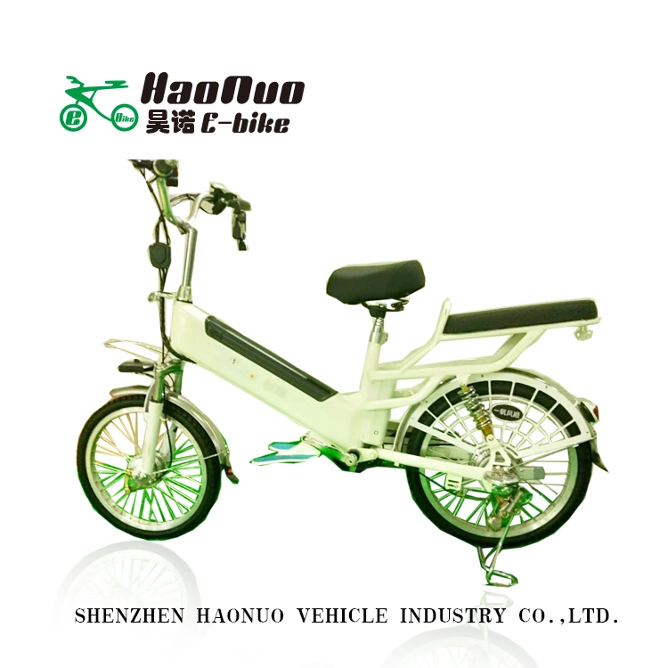 Original Factory 20 Inch Wheel 48V 250watt Fast Shipping Electric Bike for Sale