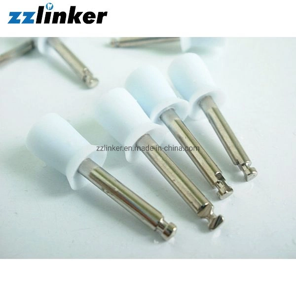 Lk-P51 Prophylaxis Disposable Dental Polishing Prophy Rubber Cup