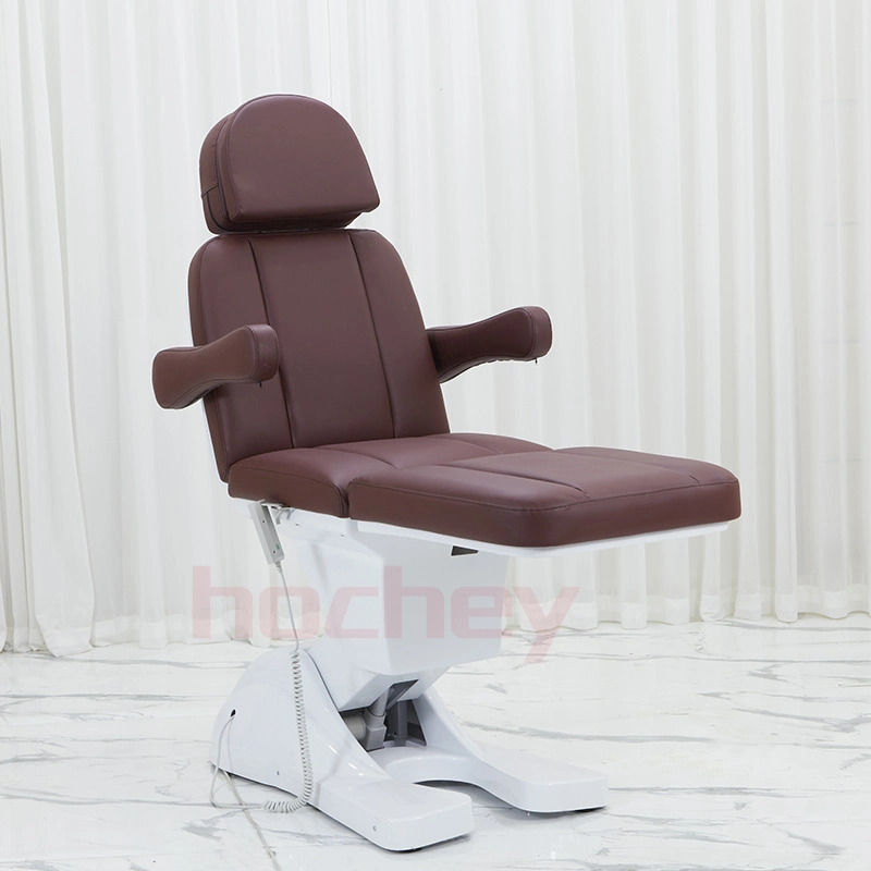 Hochey Hot Selling 3 Motors Electric Acupuncture Table Massage Table Bed Equipment Beauty Salon Furniture