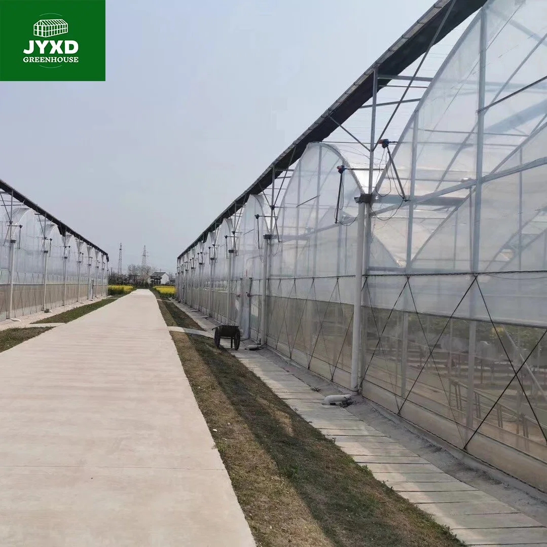 Modern Agriculture Plastic Film Multi-Span Greenhouse for Vegetables/Fruits/Flowers/Tomato/Cucumber/Strawberry