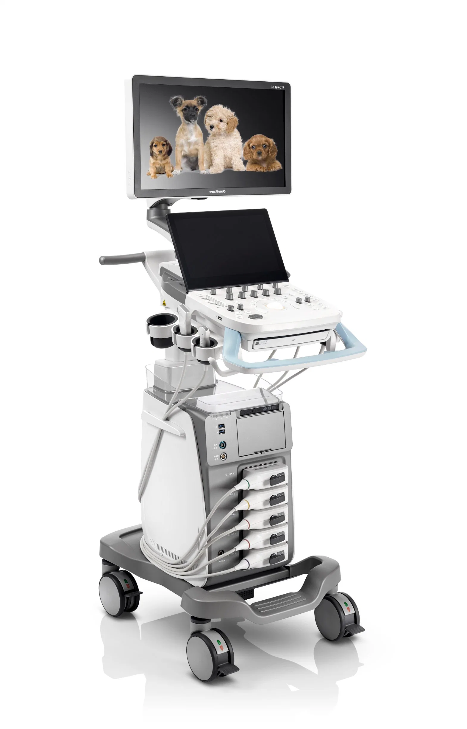 Sonoscape PROPET 60 sistema de diagnóstico ultrasónico animal con escáner de ultrasonidos veterinario Con transductores para el felino equino canino PROPET 70