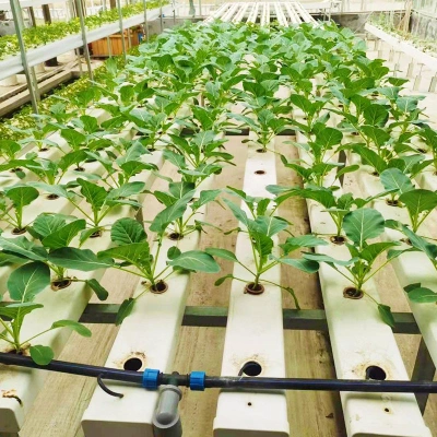 Enregistrer l'eau et l'engrais, facile à nettoyer la culture hydroponique Smart à l'intérieur du système de légumes de gouttière croître