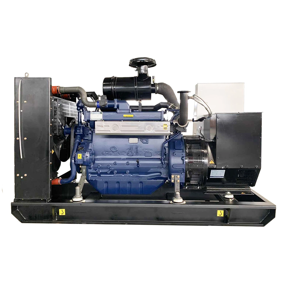 Ce ISO 250kVA 200kw Wood Burning Electricity Generator Silent Industry