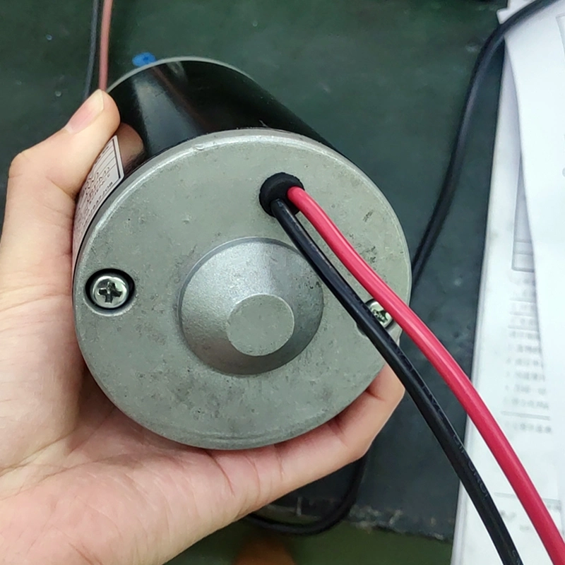 Permanenter, bürsteter 60W 12V-DC-Motor mit hoher Drehzahl, 3000rpm Motor Für Küchenmaschine