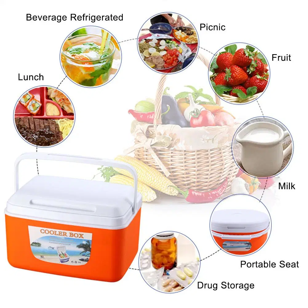 8L'un mini-incubateur de plein air du refroidisseur de boîte de congélateur refroidissement boîte de marchandises à double usage Food Storage voiture Pêche froide pour le déjeuner du boîtier du refroidisseur de boissons Lait Fruits siège