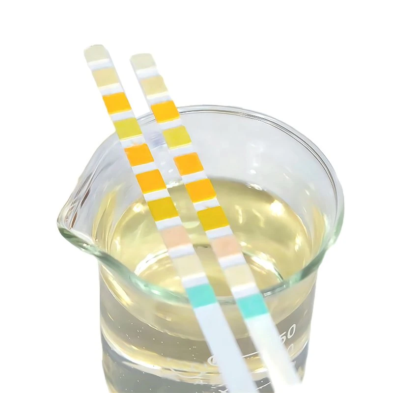 Disposable Medical 10 Parameters Analysis Urine Test Strips