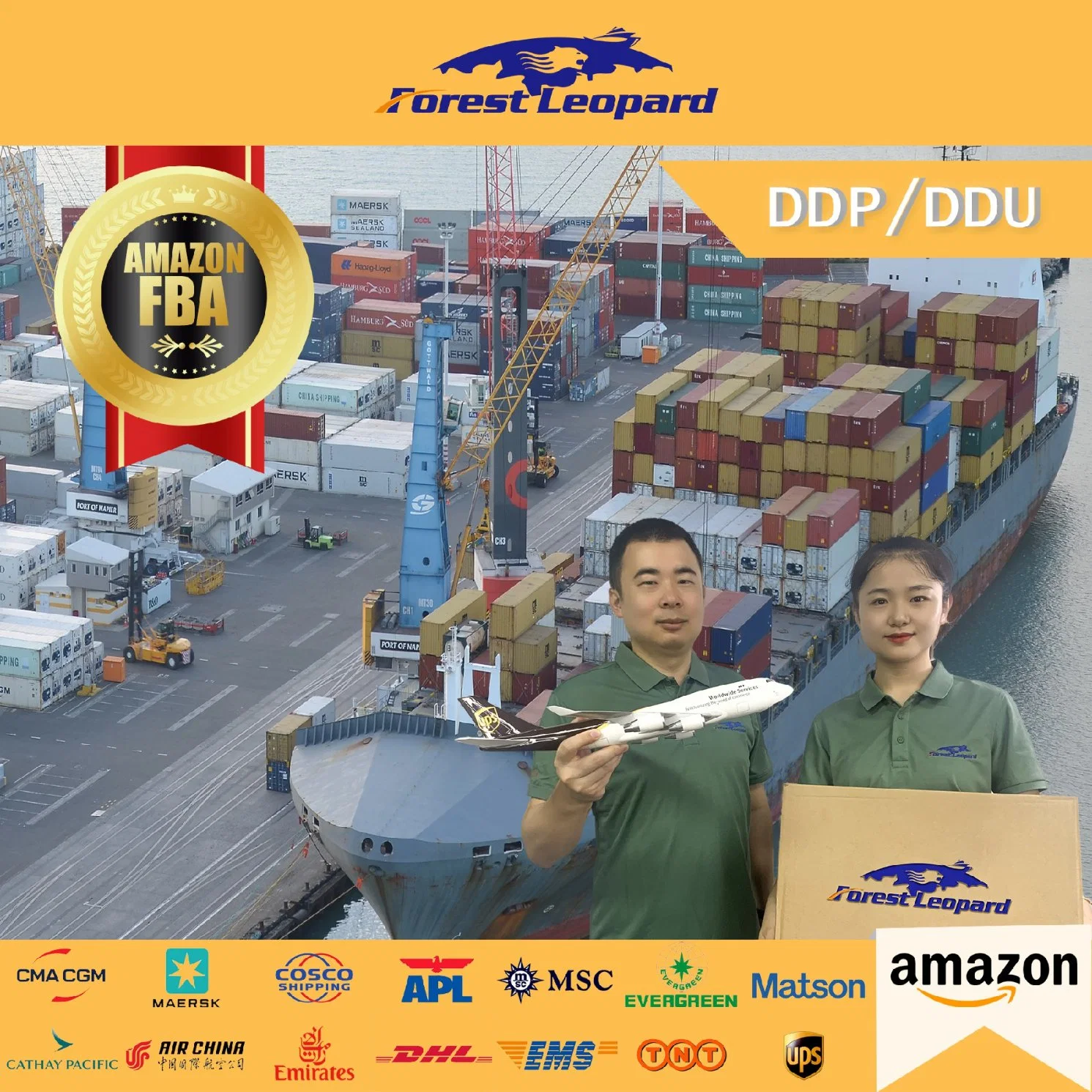 Australia Canada Thailand USA Door to Door Free Shipping Cost Cargo Shipping Company