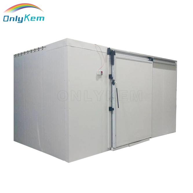 Customized 20 Tons Fruit and Vegetable Cold Storage Room