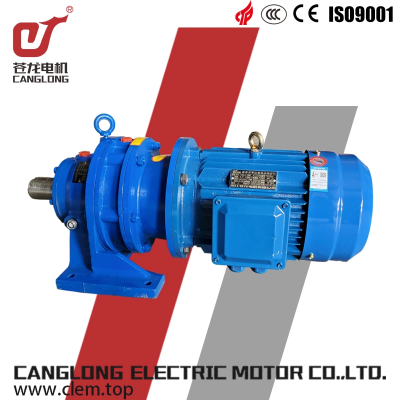 Cycloid Pin Wheel Reducer Is Used for Flange Installation in Mining Industry