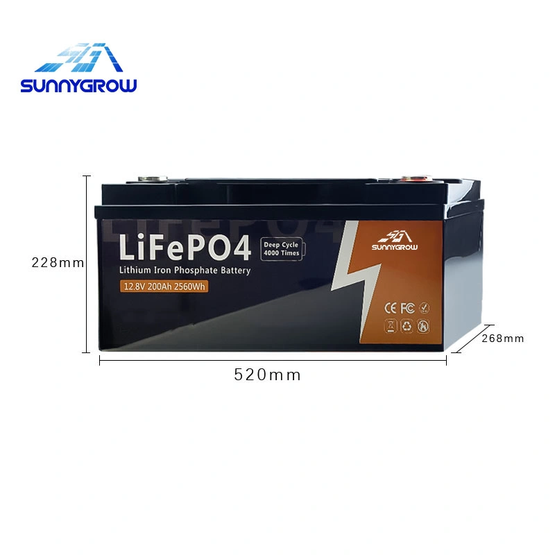 High Performance Medium Li-ion Lithium for Home Solar Batteries Pack LiFePO4 Battery