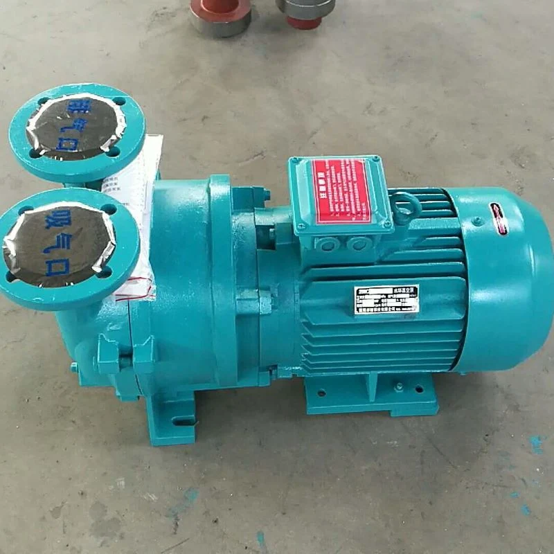 2BV-5110 Liquid Ring Vacuum Pumps Used in Pharmacy 4kw