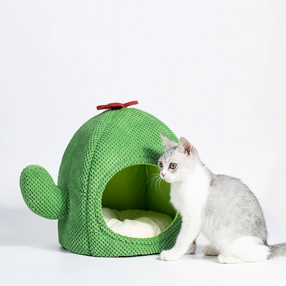 El verde de la casa del árbol del arañazo de gato Gato como mascota de Cactus Bed