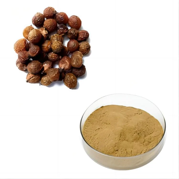 Soapnut Soapberry Extract, Sapindus Mukorossi Extract, Ritha for Pure Natural Detergent, Hand Sanitizer, Launtry Soap, Shampoo