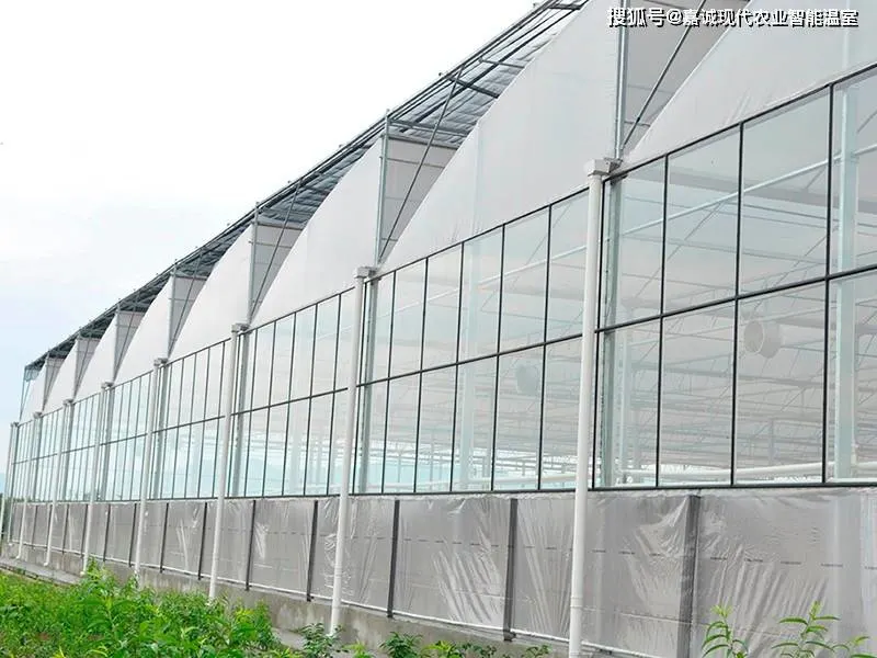 Poly-Tunnel Green House mit Sägezahn-Lüftungsöffnung für Tomate/Gurke Erdbeere Hydroponics Growing System