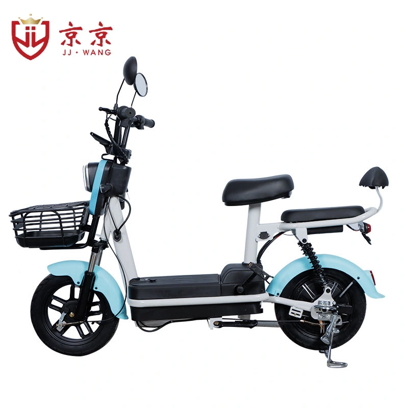 Two Wheels Electric Adult Scooter E Dirt Bike Cargo Scooter