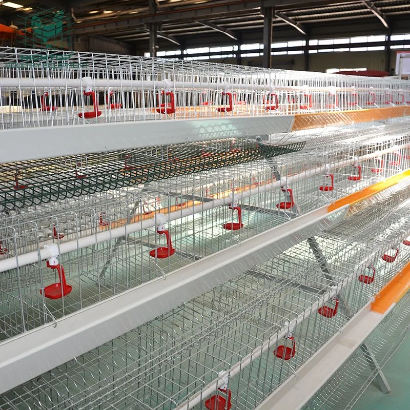 Pas cher A Type Soudé Fil Maille Volaille 120 Poules Cages de Couches en Vente