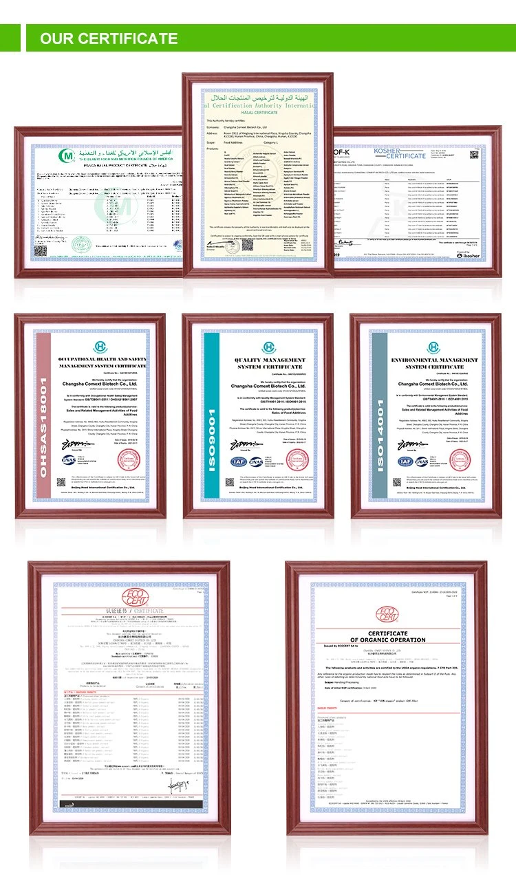 Comext Factory Food Grade Melhore a digestão Aspergillus oryzae 9, enzima 000 U/G Maltase