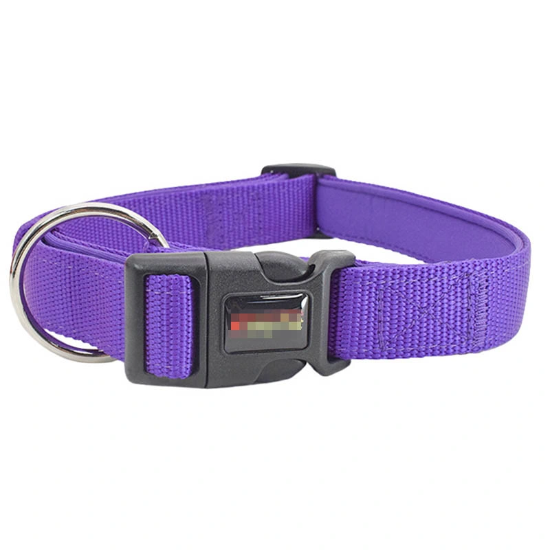 Hot Sell Amazon Pet Cat Dog Collar