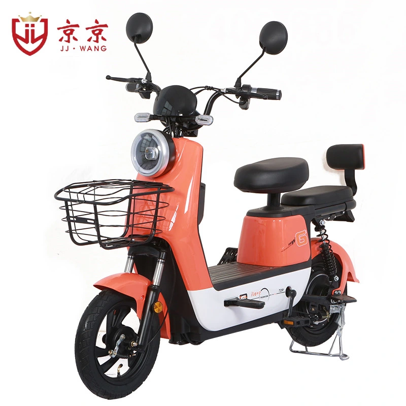 Electric Quad E Motorcycle Electric Scooter Dirt Ebike 350W Electric Bike Fiets