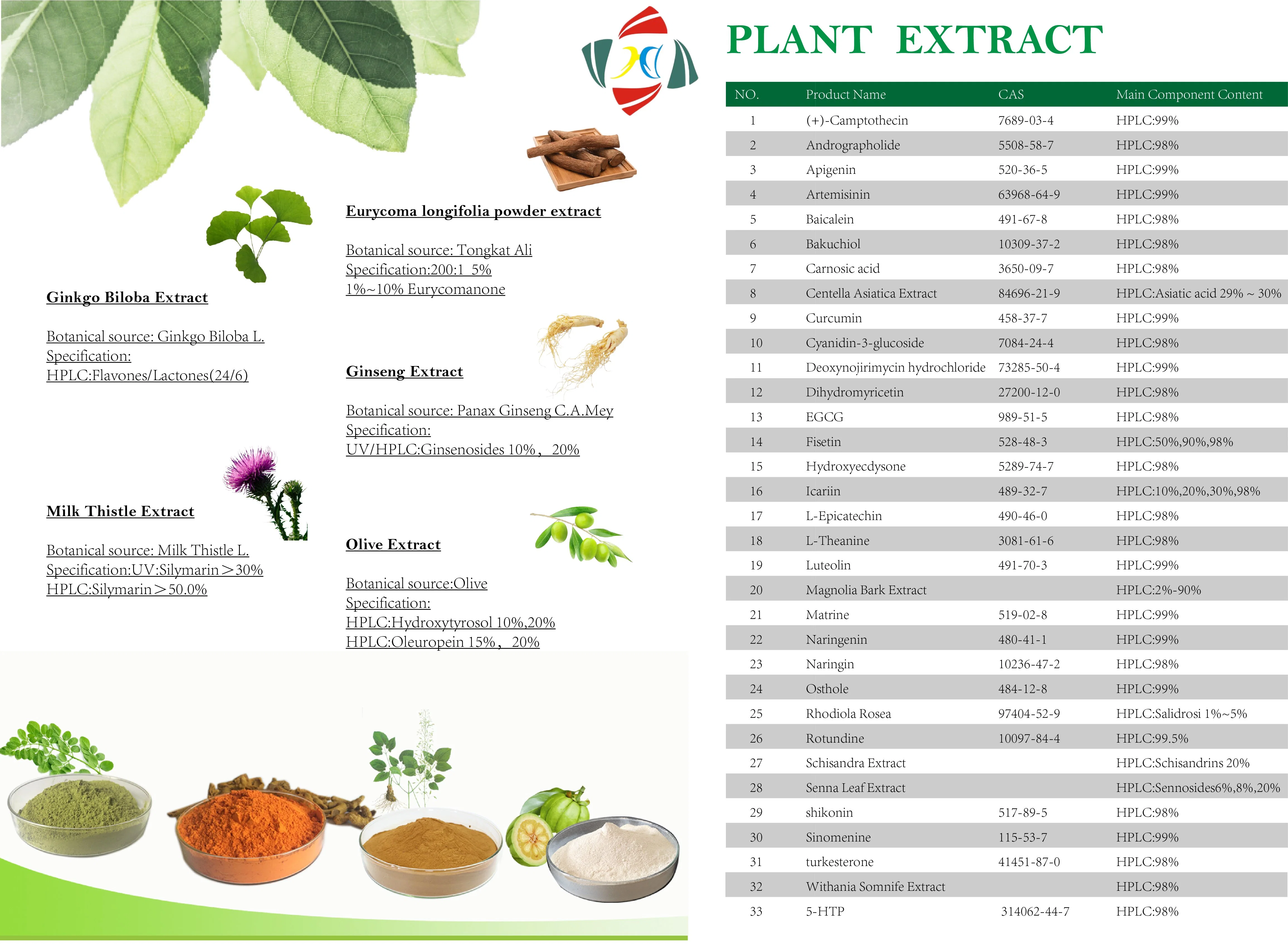 20% Extracto Natural puro de hoja de Senna con sennoside 40% 100% 60%