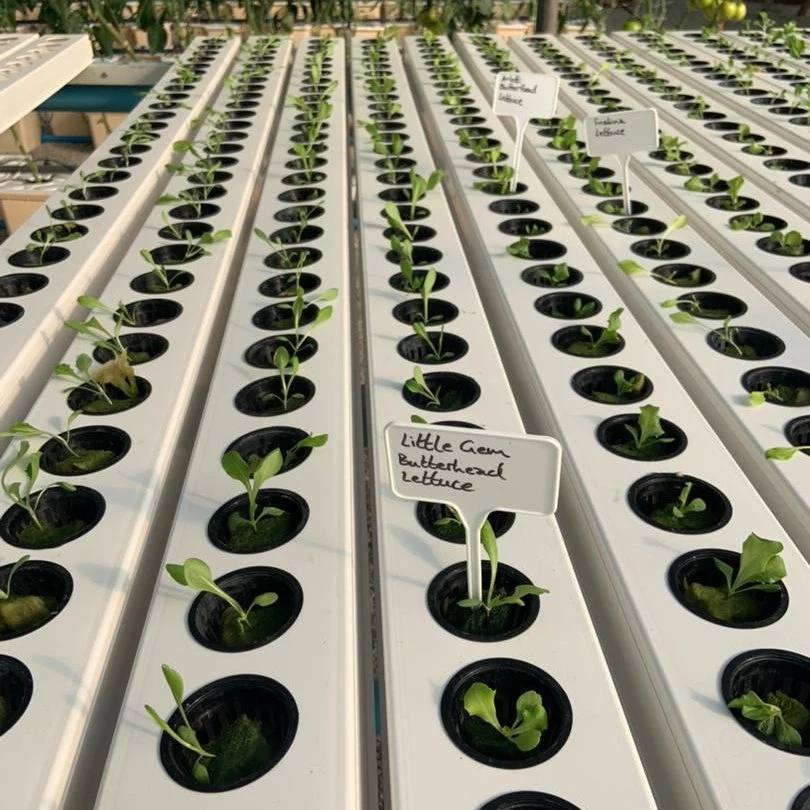 Farm Hydroponic System PVC Nft Channel PVC Hydroponic Machines