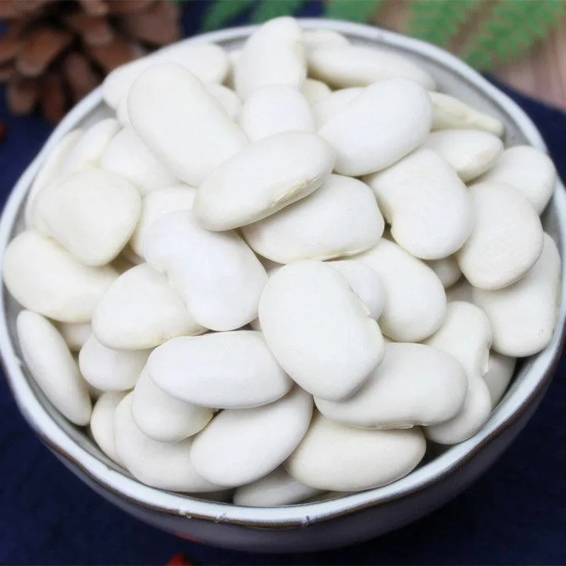 Chinese White Kidney Beans Large Size White Kidney Beans Export