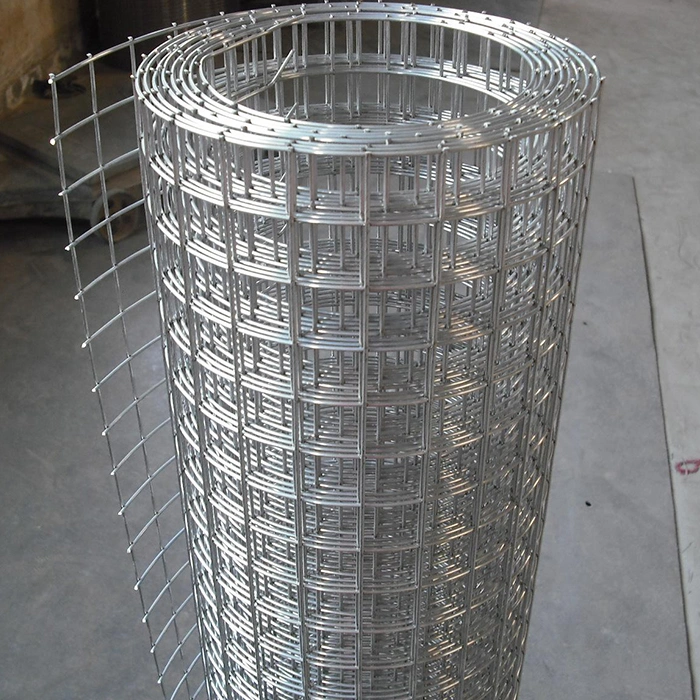 China Low Price Welded Iron Steel Wire Mesh