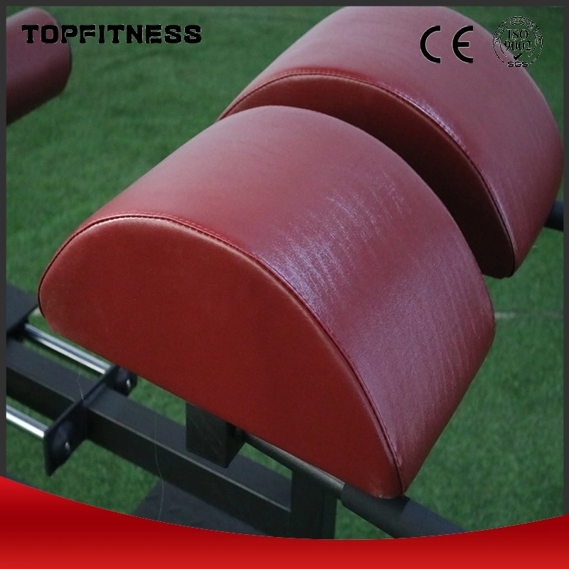 Gym Equipment Machine Roman Chair Hyperextension Foldable Weight Bench