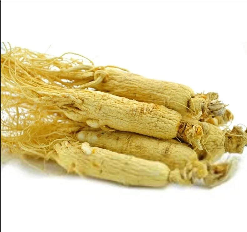 Ren Shen Chinese Herb white Panax Ginseng Root Traditional Chinese Herbal Medicine