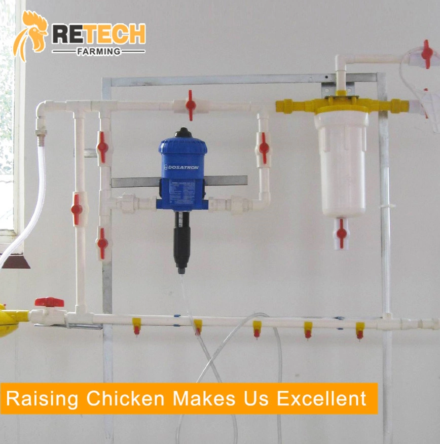 China Supplier Automatic Poultry Chickens Cage with Feeders Drinkers for Sale