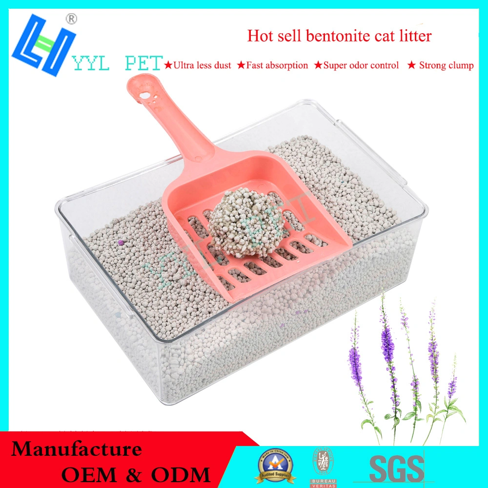 Hot Sell Dust Less Bentonite Cat Litter for Cat Toilet