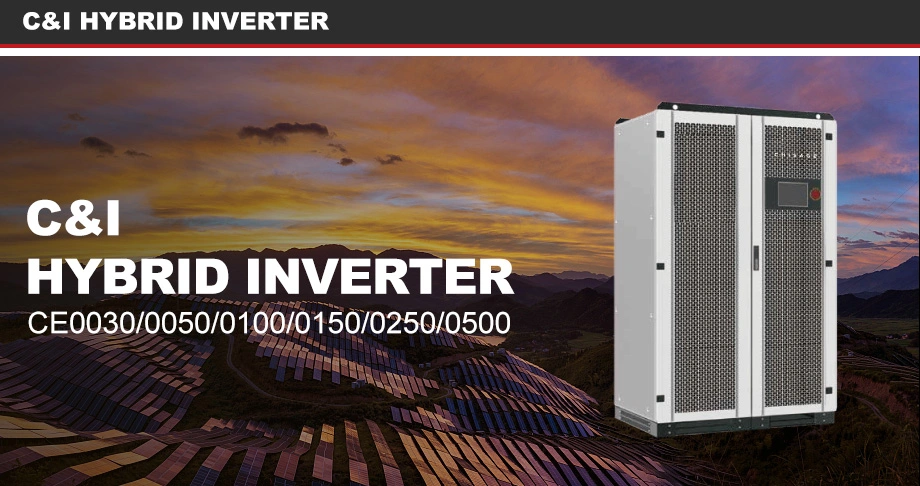 Chisage Good Quality Pure Sine Wave Inverter Solar Battery Hybrid Inverter