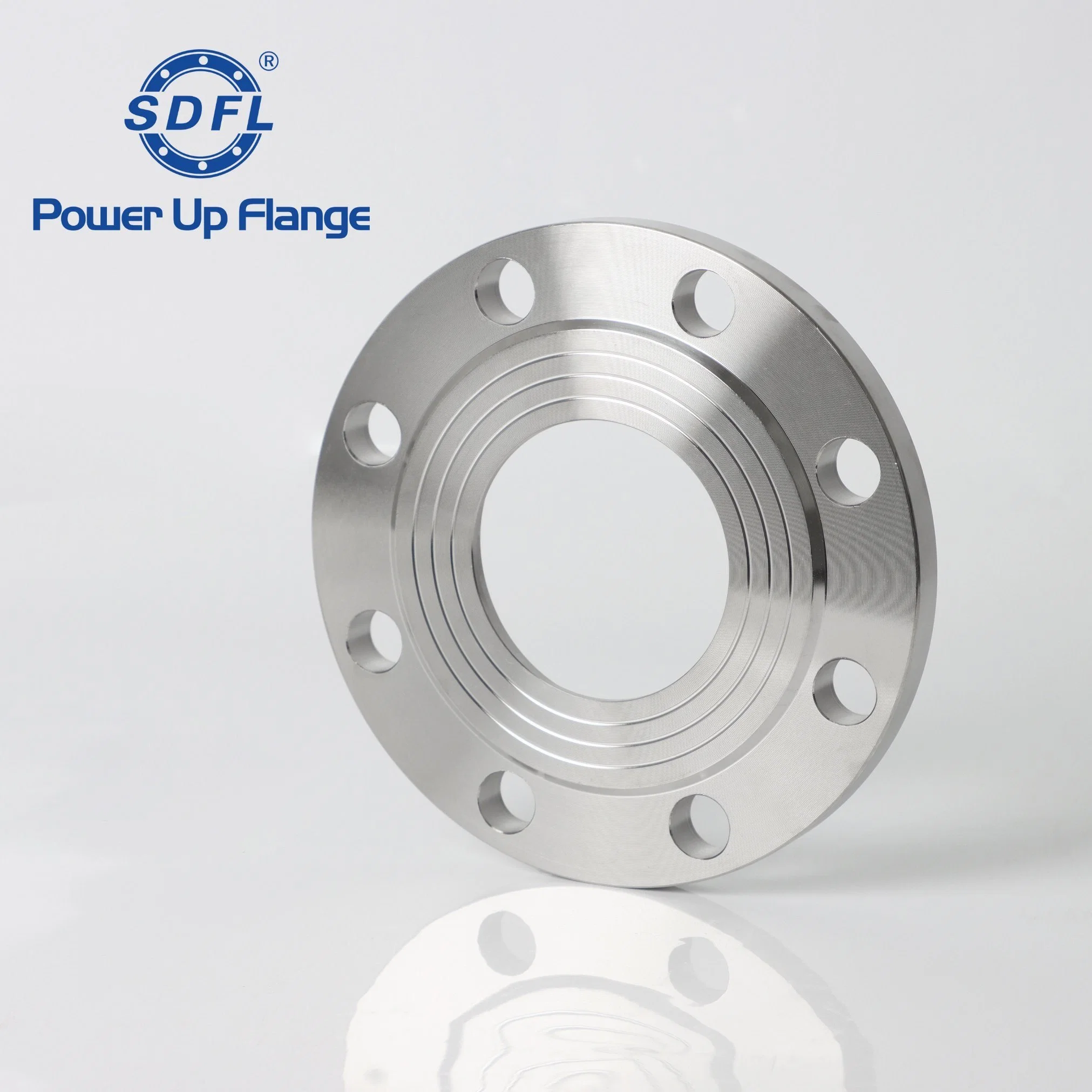 ASME B16.5 3inch 150b 304 RF Forged Stainless Steel Plate Flanges