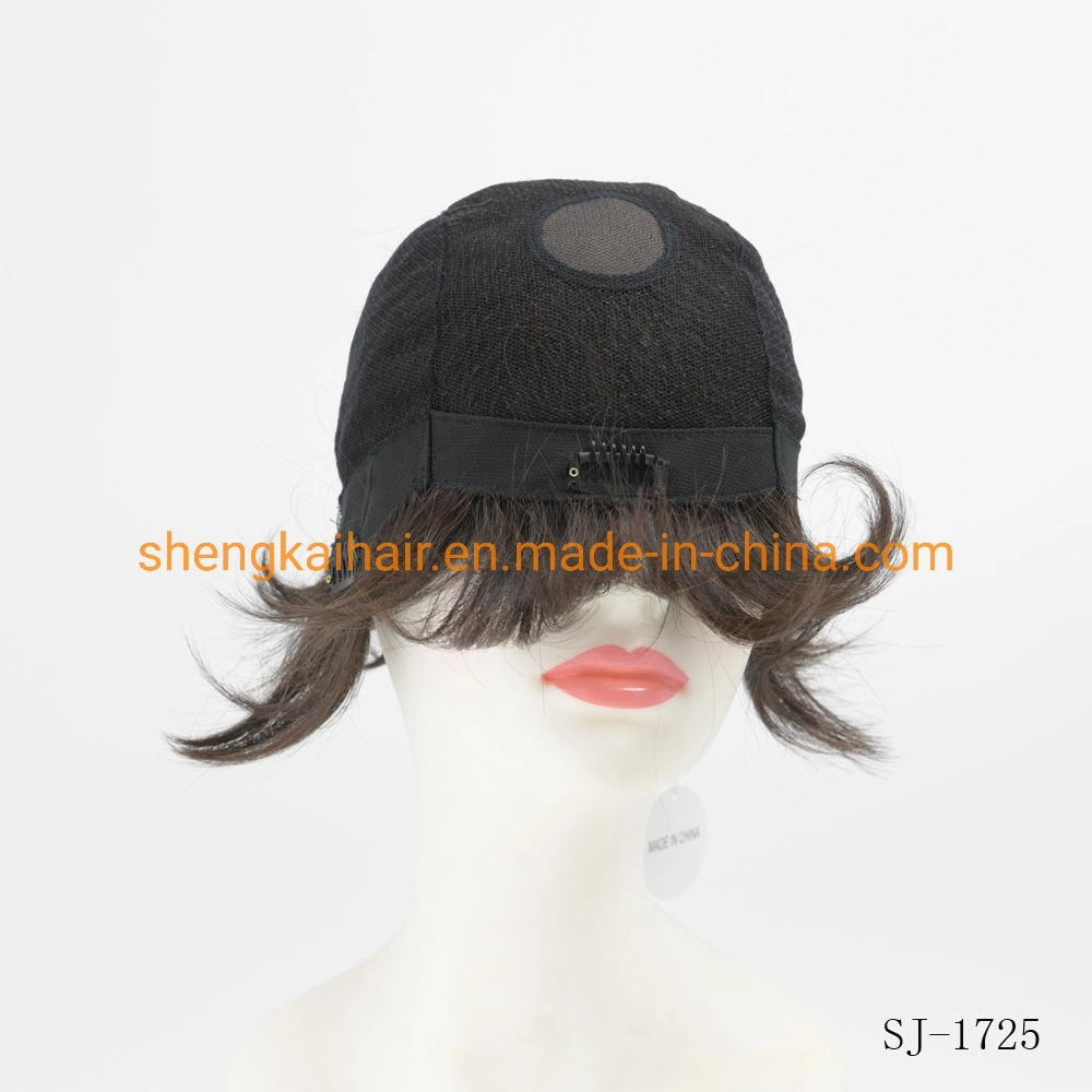 Wholesale/Supplier Premium Quality Full Handtied Black Color Short Style Synthetic Hair Wigs for Women 529