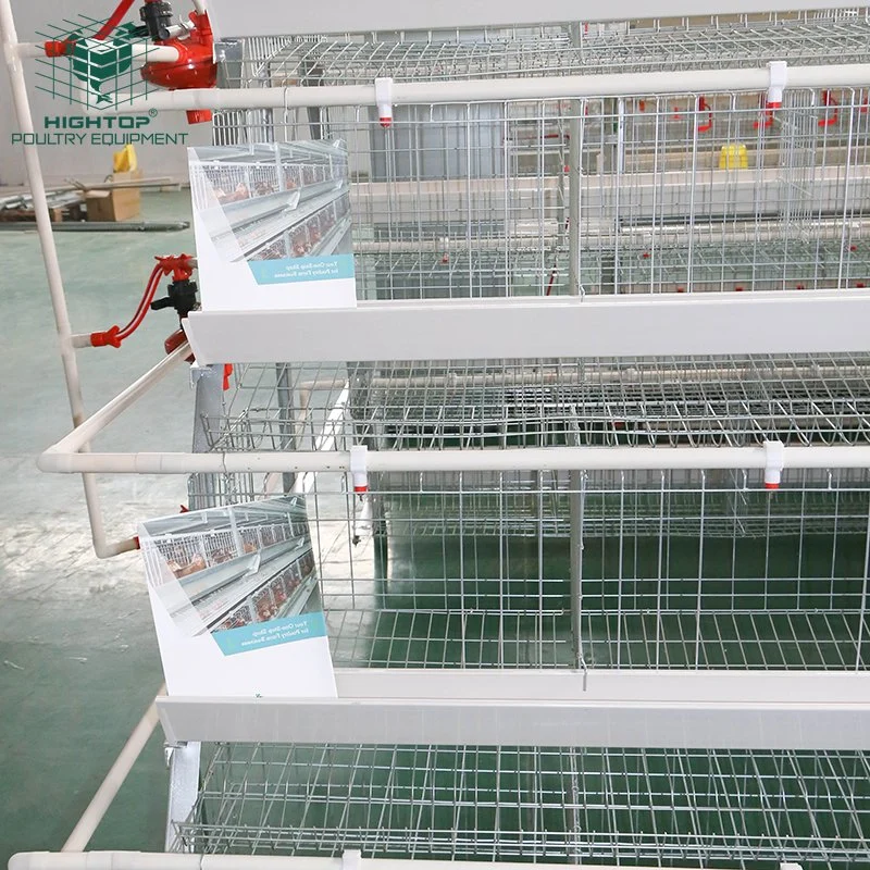 A Type Laying Hens Coop Egg  Layer Chicken Cage For Poultry Farm