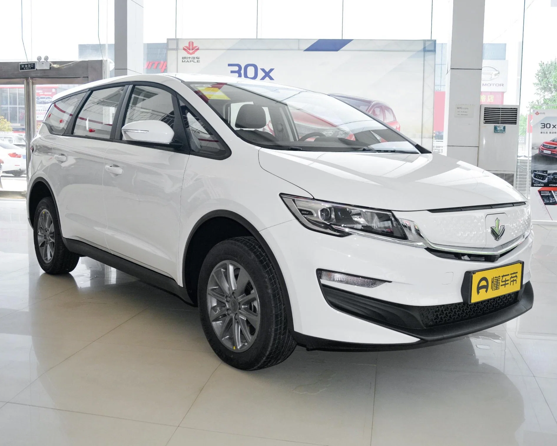 Made in China, Ruilan Automobile 2023 Maple Leaf 80V Compact MPV New Energy Adult Pure Electric Vehicle Car