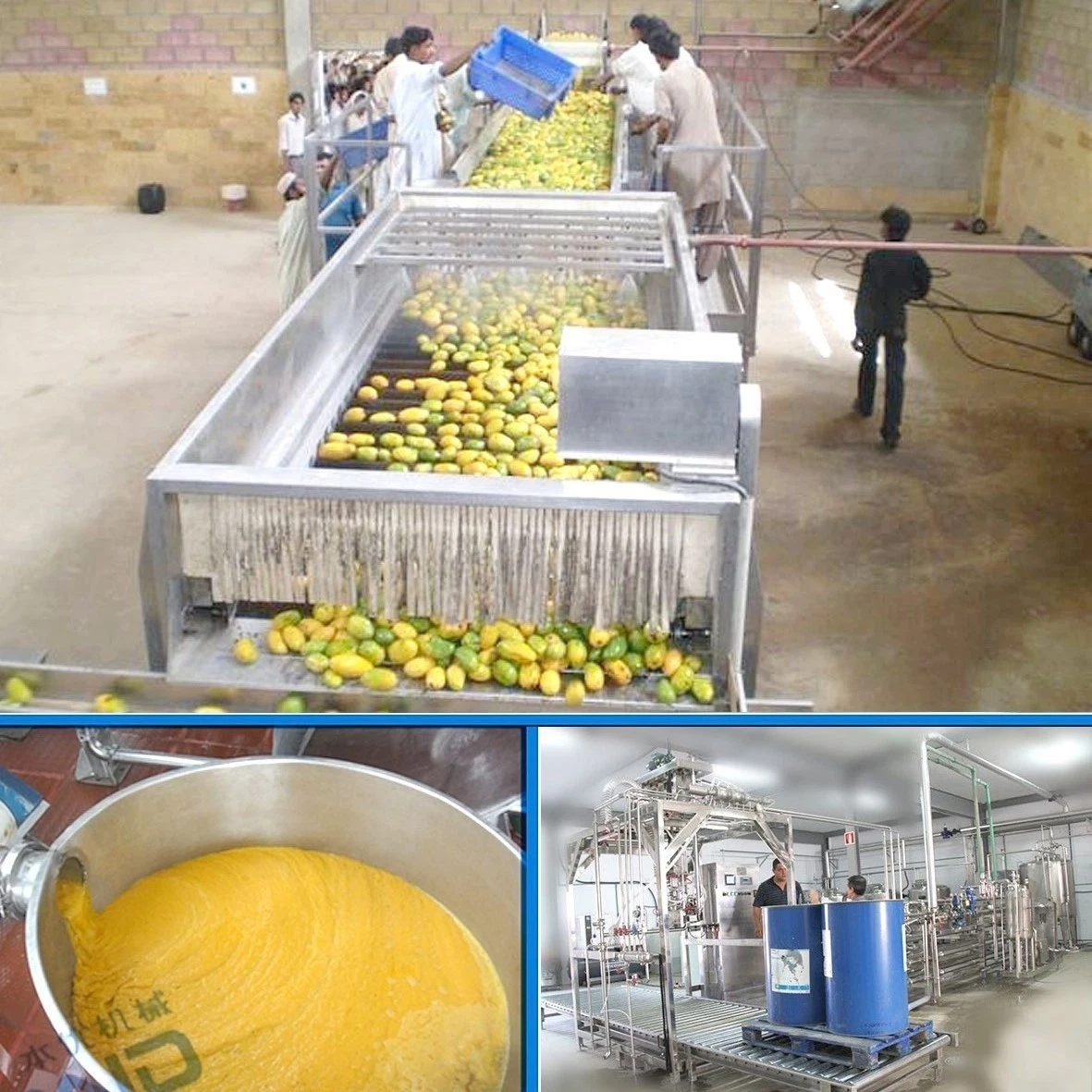 Mango processing line mango juice  mango pulp production line