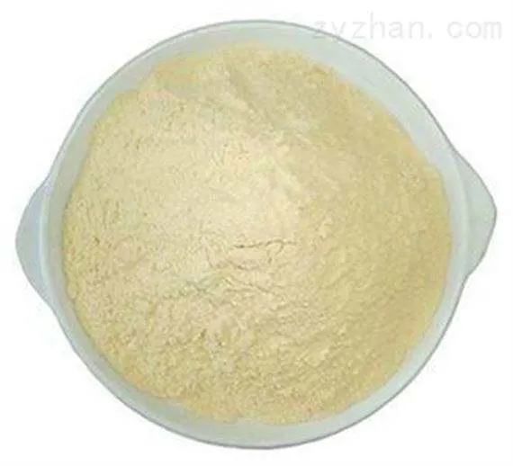 High Purity Xanthan Gum Vom Hersteller