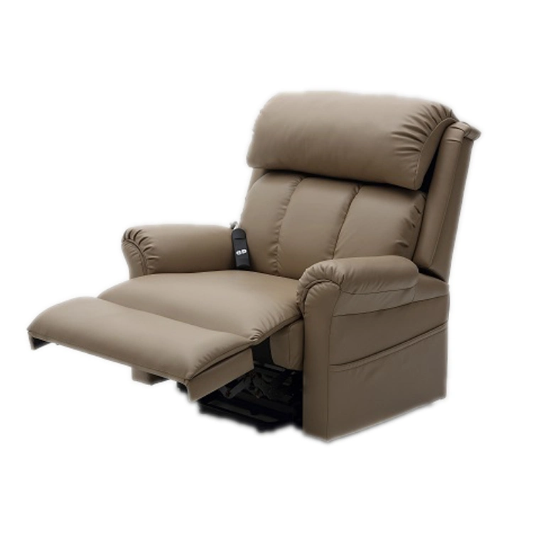 Living Room Massage Chair with Electric Lift and Recline Sofa Chair