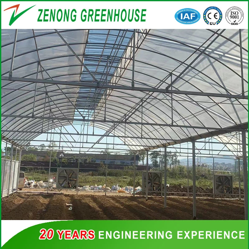 Chinese Greenhouse Manufacturer Fabricated Poly-Tunnel Poly Film Greenhouse with Wet Pad and Fans for All Season Vegetable Culture