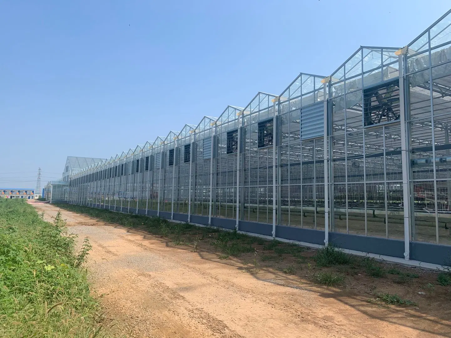 Commercial Glass Greenhouse with Climate Control System