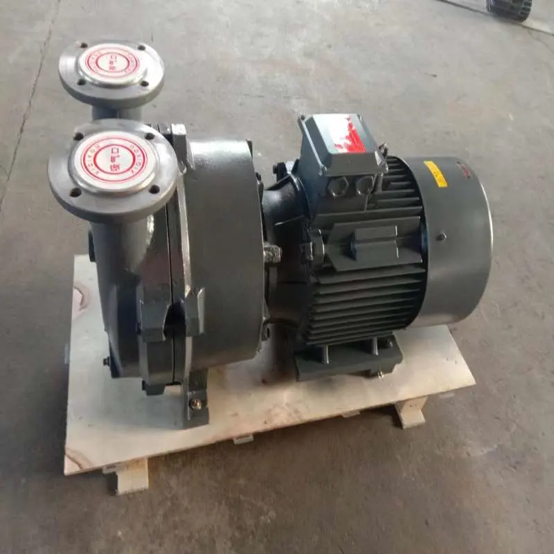 2BV-5161 Single/Two/Double Stage Liquid-Water-Ring Vacuum Pump in China (System)