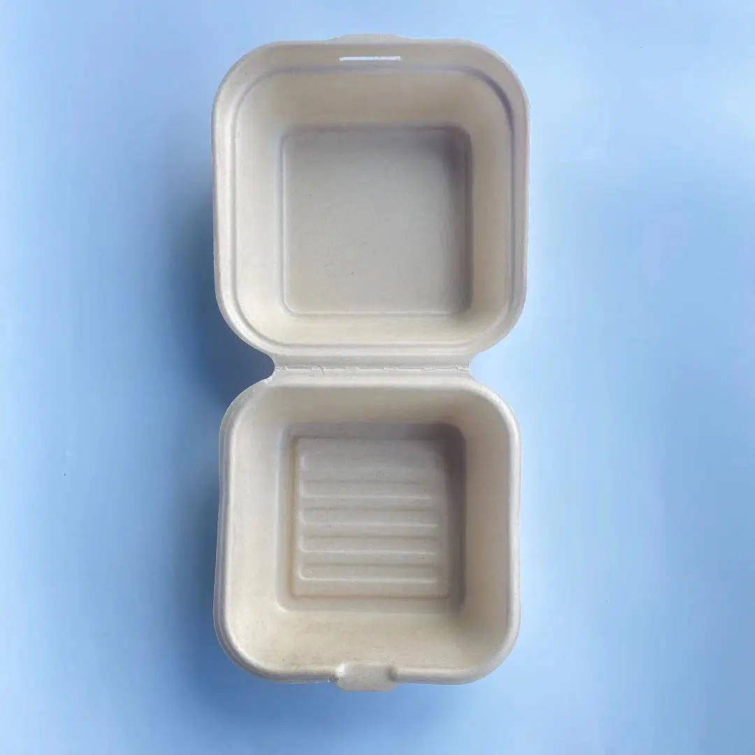 Disposable Biodegradable Compartment Dinner Plate Outdoor Household Lunch Box Household Container Customized