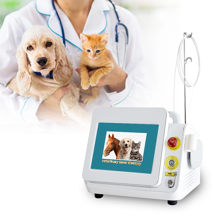 Discount Class IV Laser 980nm Laser Physiotherapy Device Price Machine Higt Intensity Veterinary Laser Therapy Vet Laser for Horse