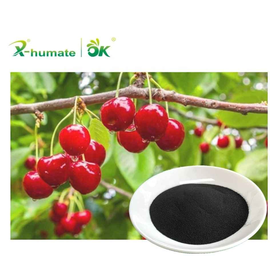 X-Humate Leonardite 40% 50% 70% Humic Acid Powder