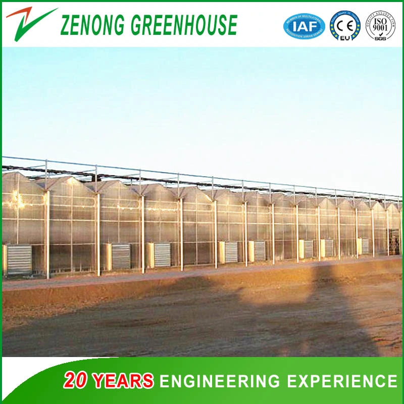 Agriculture Venlo Type PC Greenhouse for Exhibition/Eco Restaurant/Experiment